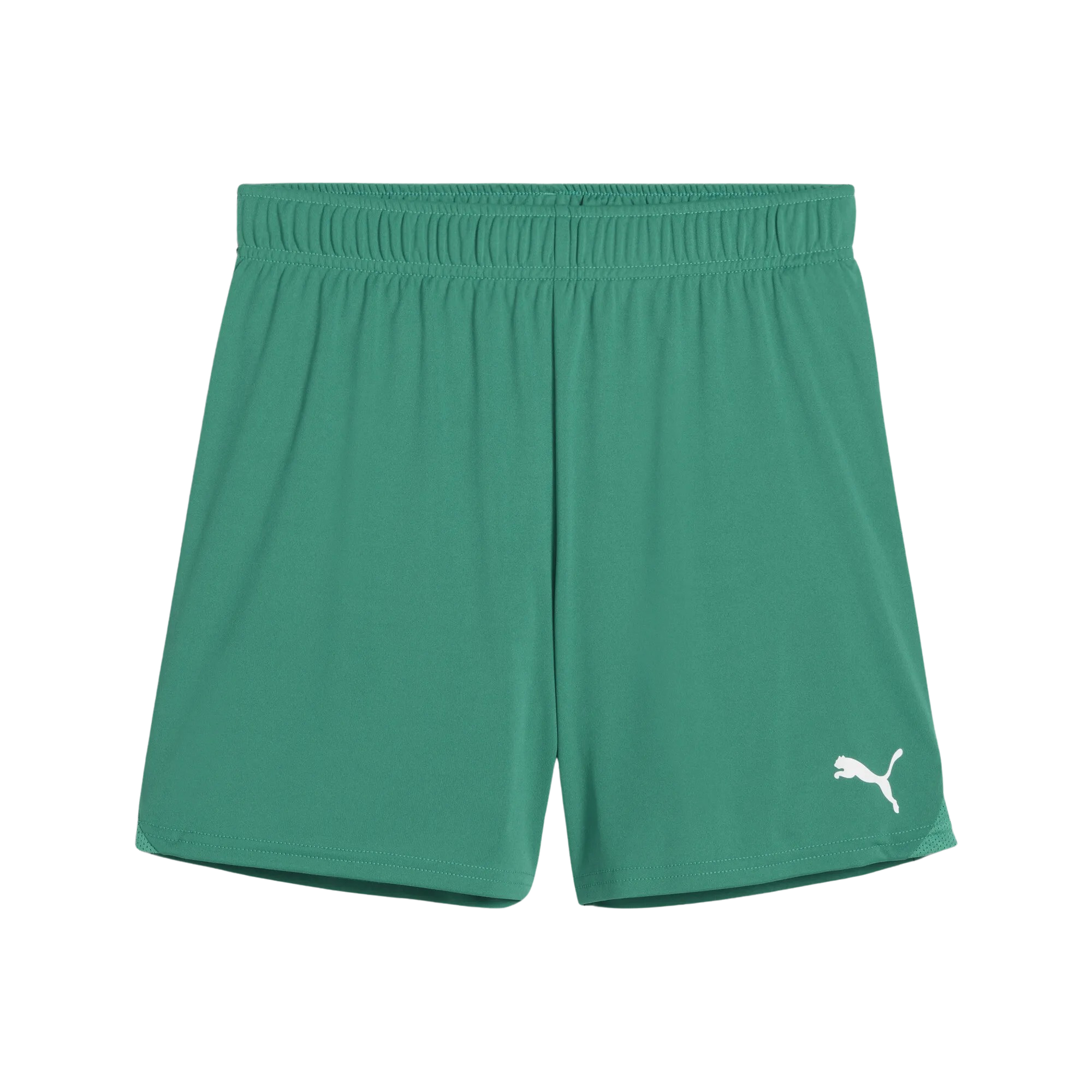 Puma DAM shorts grön