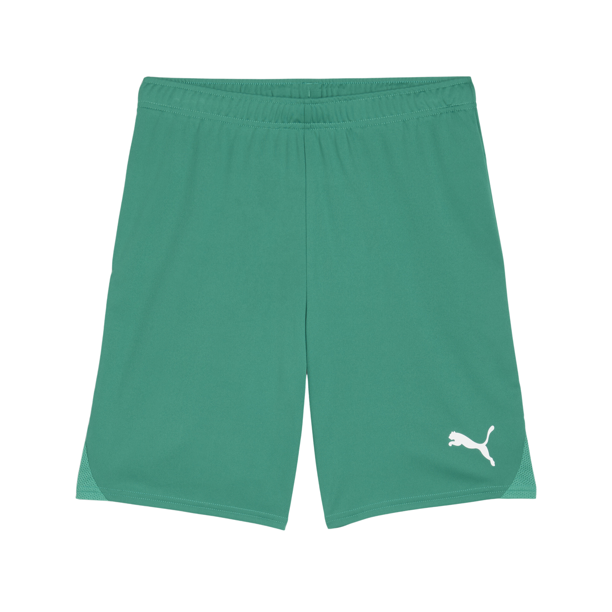 TeamGOAL shorts JR green