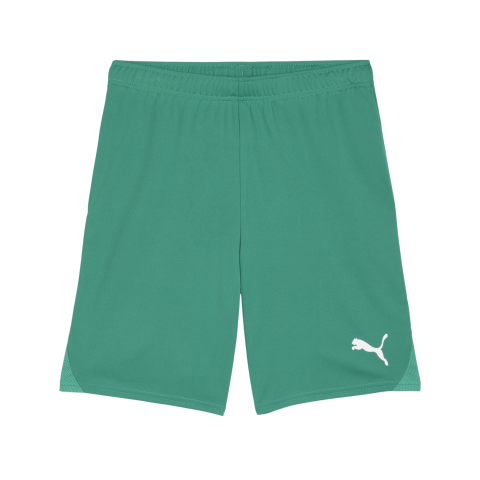 TeamGOAL shorts JR green